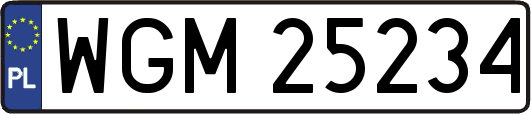 WGM25234