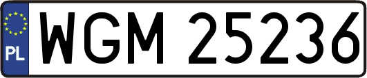 WGM25236
