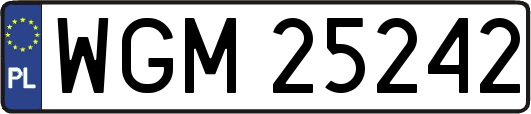 WGM25242