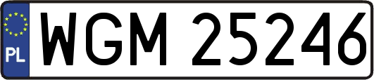 WGM25246