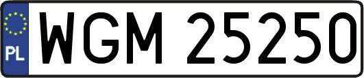 WGM25250