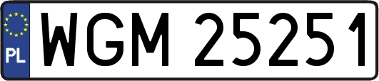 WGM25251