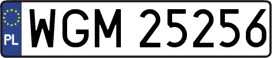 WGM25256