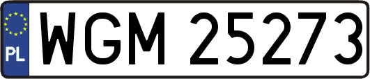 WGM25273