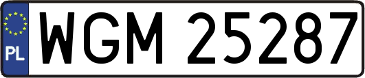 WGM25287