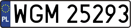 WGM25293