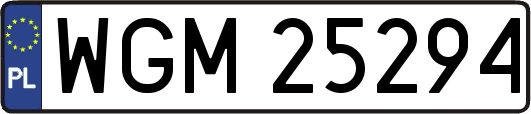 WGM25294