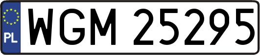 WGM25295