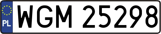 WGM25298