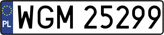 WGM25299
