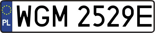 WGM2529E