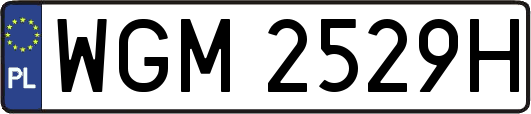 WGM2529H