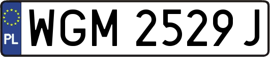 WGM2529J
