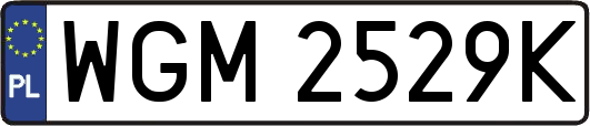 WGM2529K