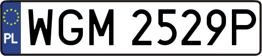 WGM2529P
