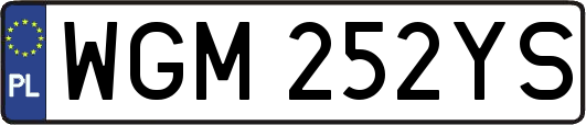 WGM252YS