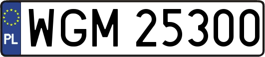 WGM25300