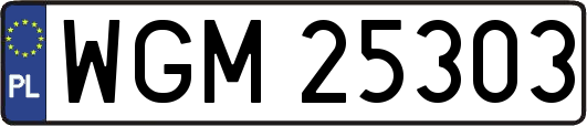 WGM25303