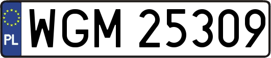 WGM25309