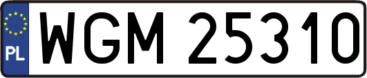WGM25310