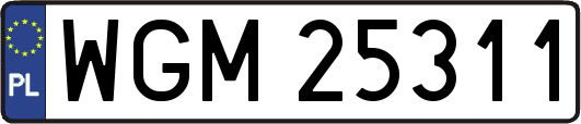 WGM25311