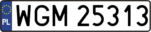 WGM25313