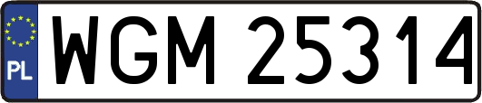 WGM25314
