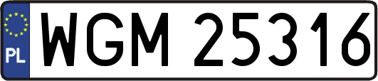WGM25316