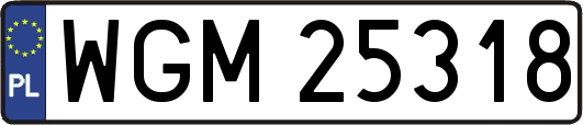WGM25318