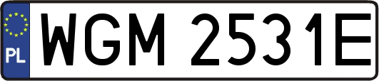 WGM2531E