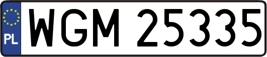 WGM25335