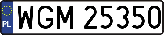 WGM25350