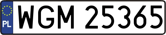 WGM25365