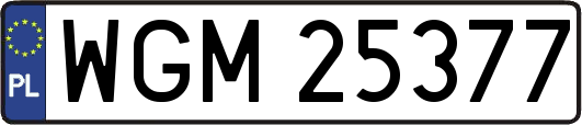 WGM25377