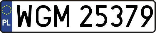 WGM25379