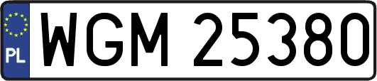 WGM25380