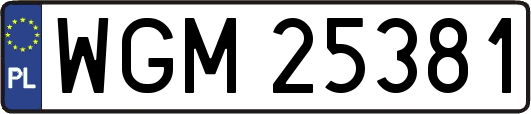 WGM25381