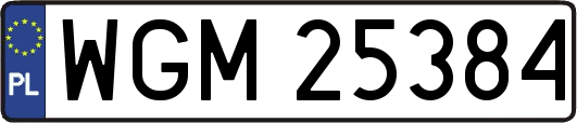 WGM25384