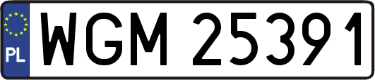 WGM25391