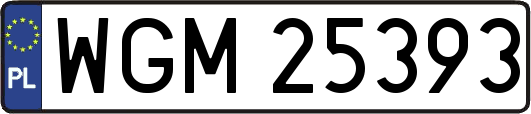 WGM25393