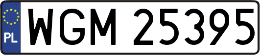 WGM25395