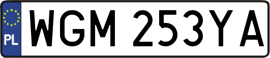 WGM253YA