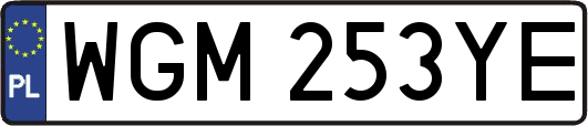 WGM253YE