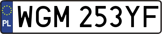 WGM253YF