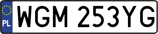 WGM253YG