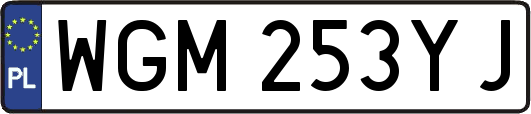 WGM253YJ