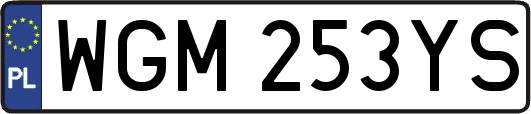 WGM253YS