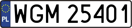 WGM25401