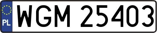 WGM25403
