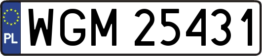 WGM25431